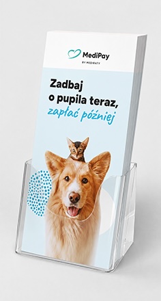 Grafika